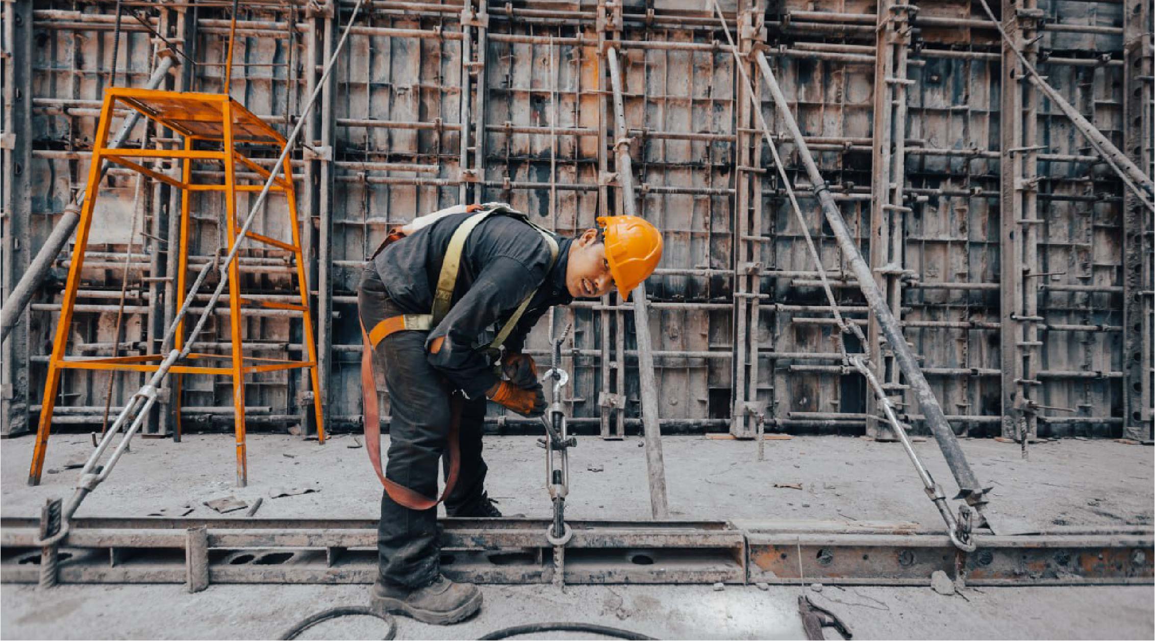 جمشید محمدی نیا